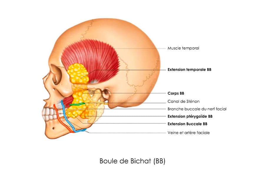liposuccion HD chirurgie silhouette chirurgie esthetique paris dr philippe pelissier chirurgien plasticien esthetique paris